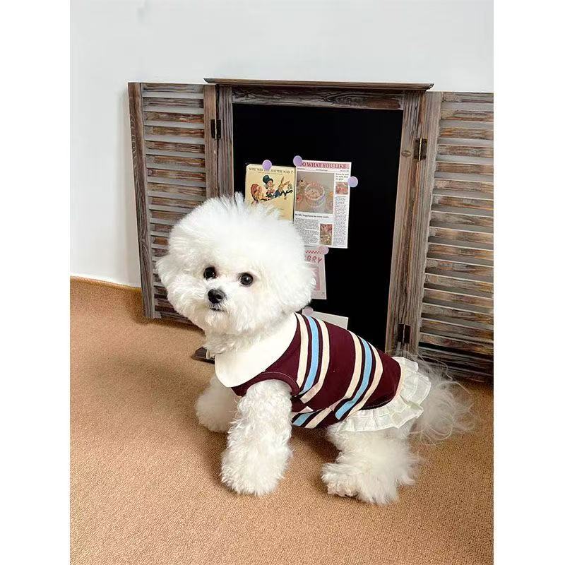 T434Pet small dog Teddy Bichon Pomeranian Poodle Yorkshire Terrier dog princess skirt summer