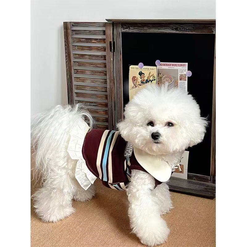 T434Pet small dog Teddy Bichon Pomeranian Poodle Yorkshire Terrier dog princess skirt summer