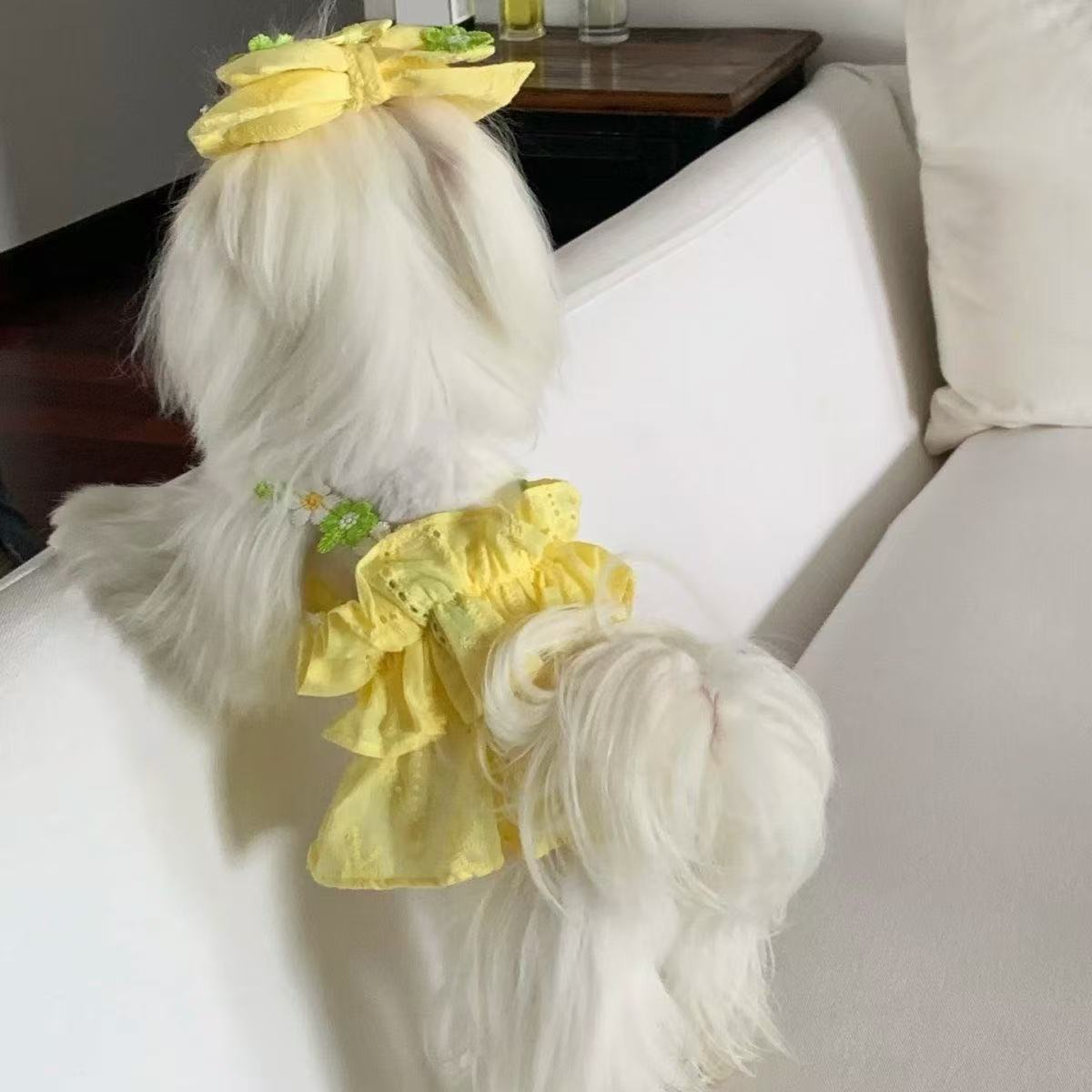 T436Pet dog clothes spring and summer new small puppy lace wedding dress puffy skirt Teddy Yorkshire thin skirt
