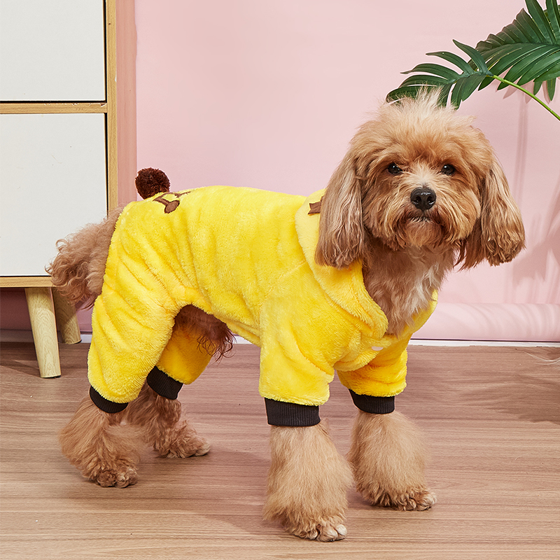 Cute Pet Transformable Embroidered Lion Costume
