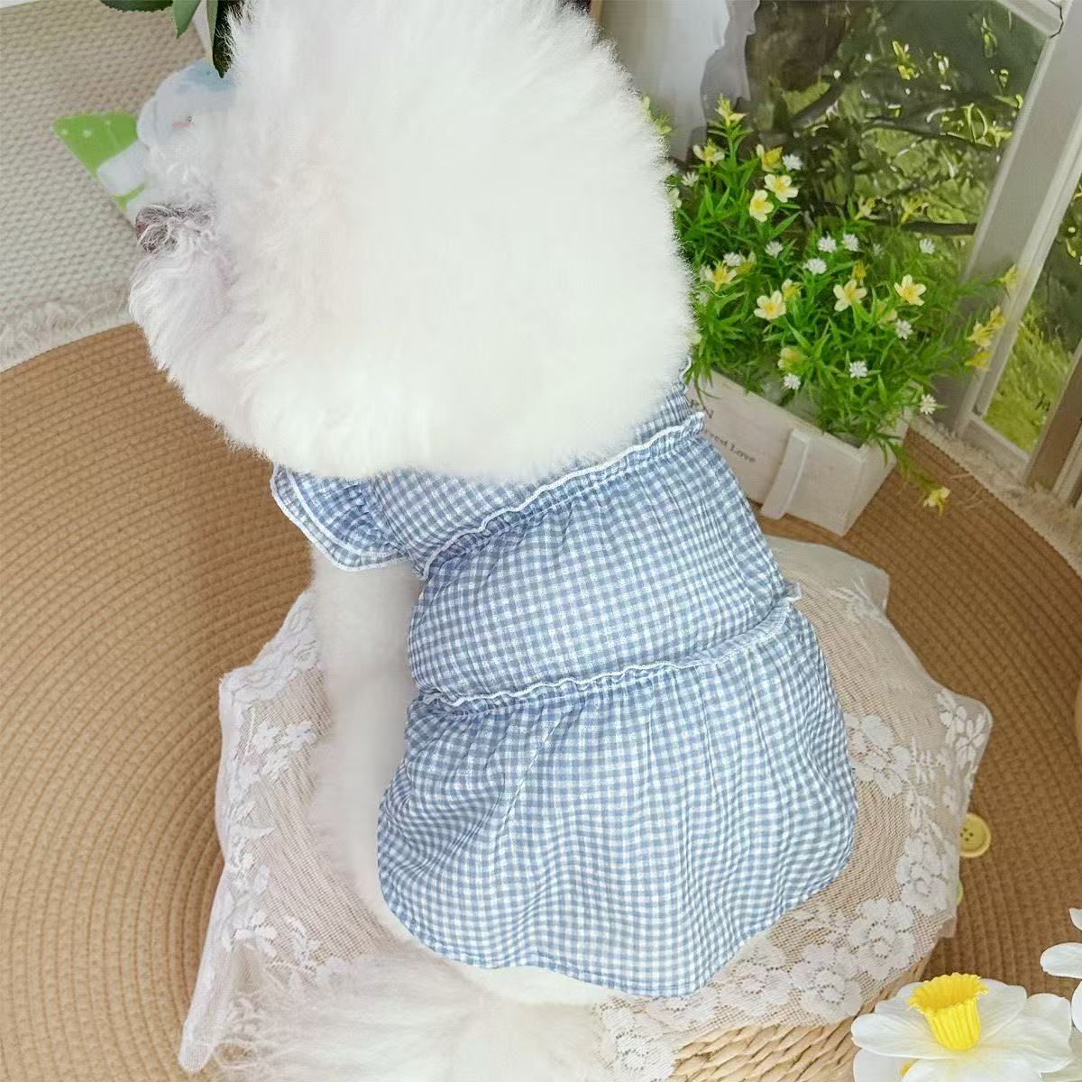 T440Summer colorful and elegant pet clothes new lace breathable puffy skirt dog cat thin dress