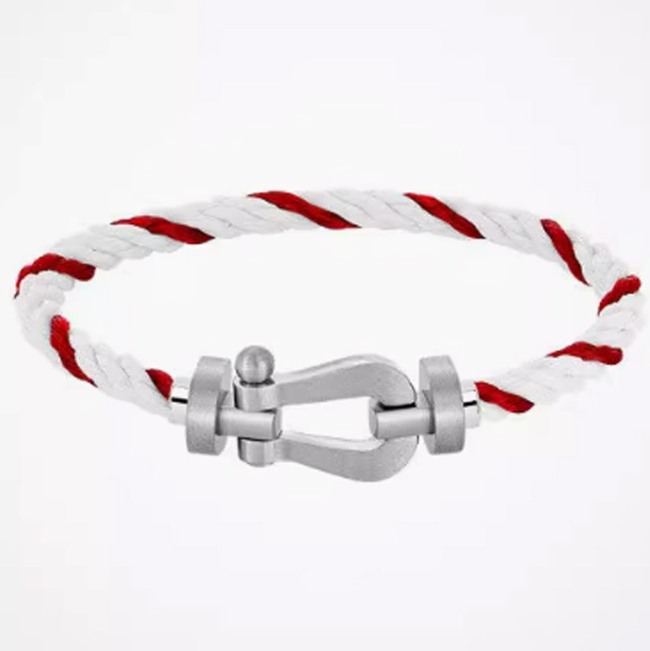 forced 10 Bangle Horseshoe buckle steel men high-end light niche black braided couples gift bracelet for hip-hop women AA frzd freb