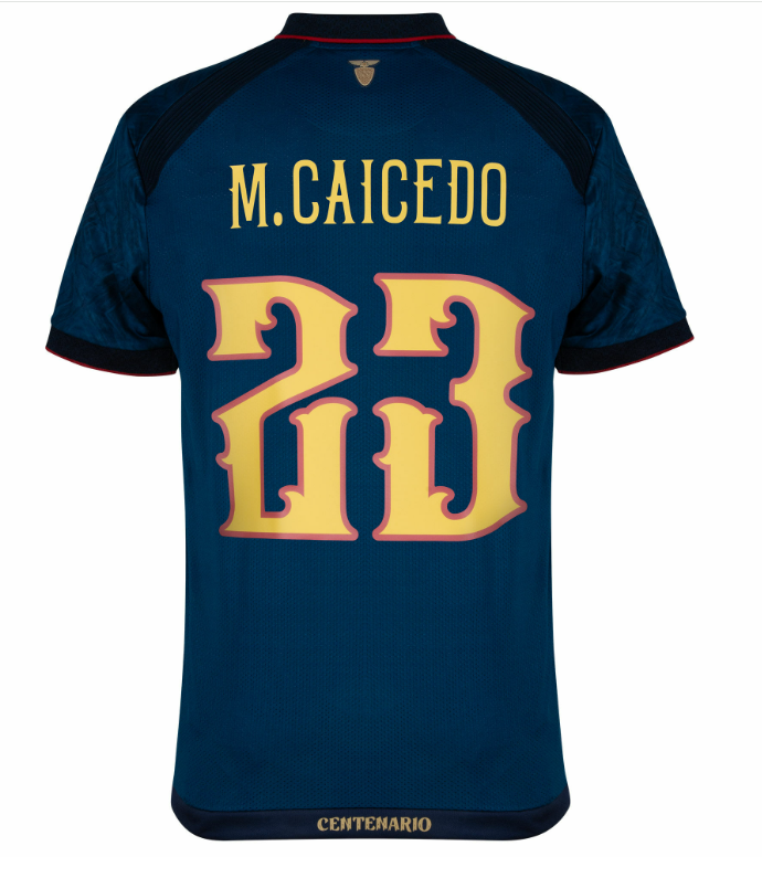 2026 Ecuador soccer jersey 26 27 Black Special Centenary Hincapie Paez MCAICEDO PACHO Home away third Football uniform fans version top