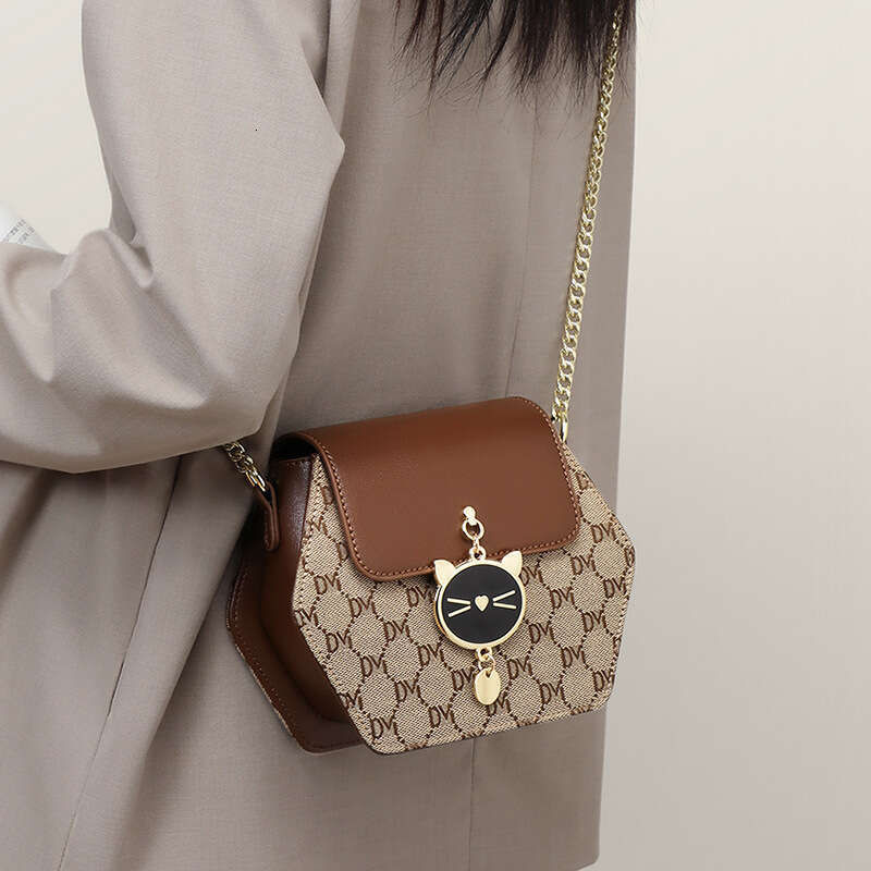 2025 New Women's Crossbody High-end Spring Summer Chain Fashion Light Luxury Small Bag