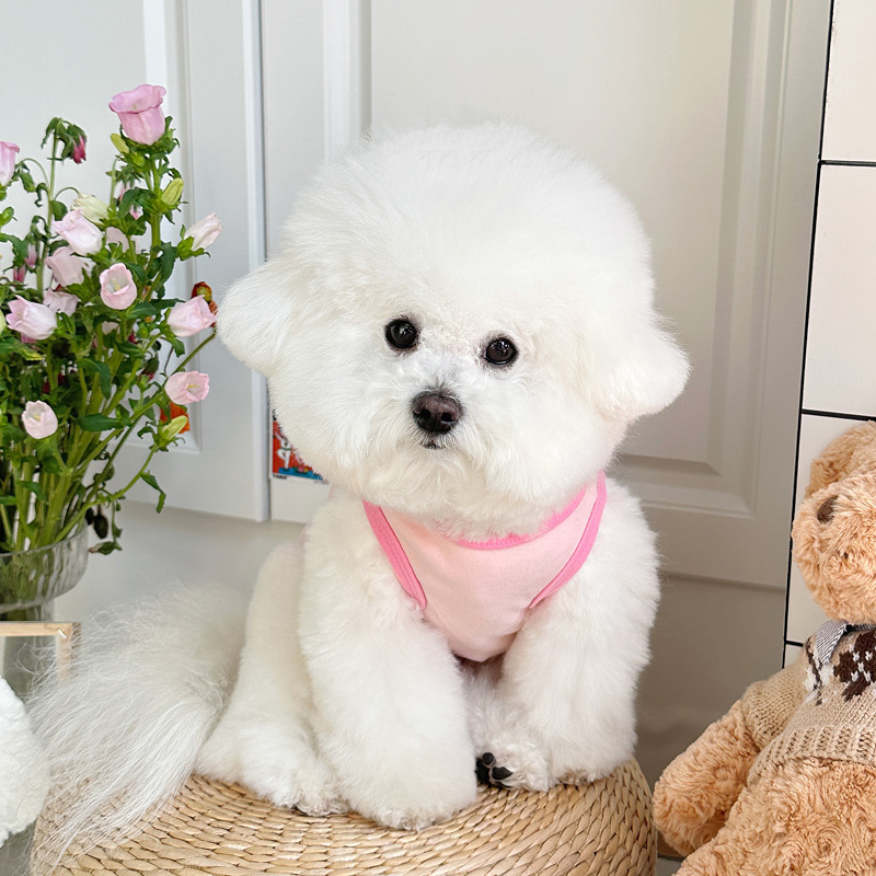 Spring ins style velvet cotton pet dog cat clothes Teddy Bichon Poodle embroidered vest