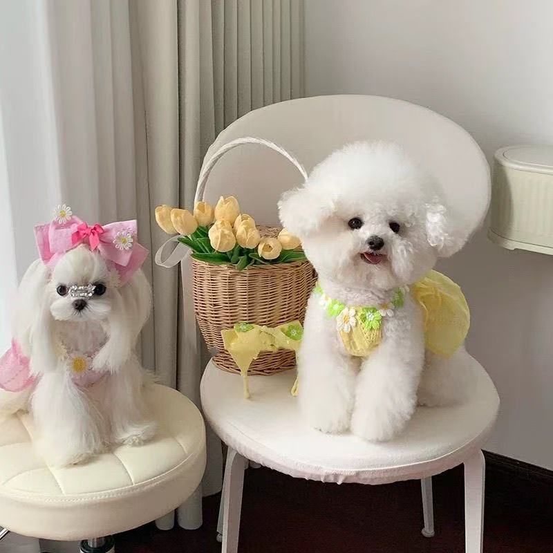 T436Pet dog clothes spring and summer new small puppy lace wedding dress puffy skirt Teddy Yorkshire thin skirt