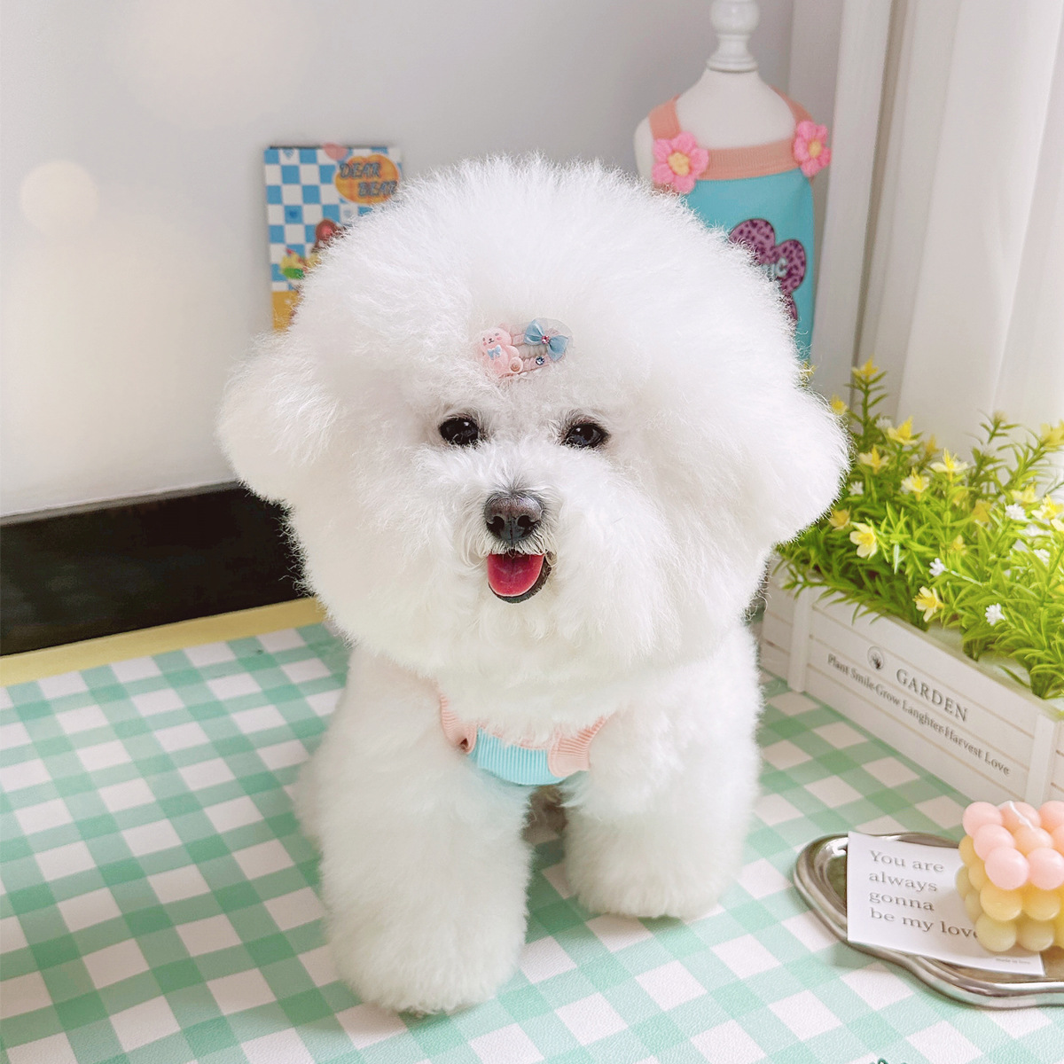 Korean ins style pet dog cat clothes Teddy Bichon Poodle Yorkshire ice silk cotton vest