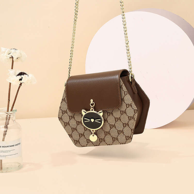 2025 New Women's Crossbody High-end Spring Summer Chain Fashion Light Luxury Small Bag