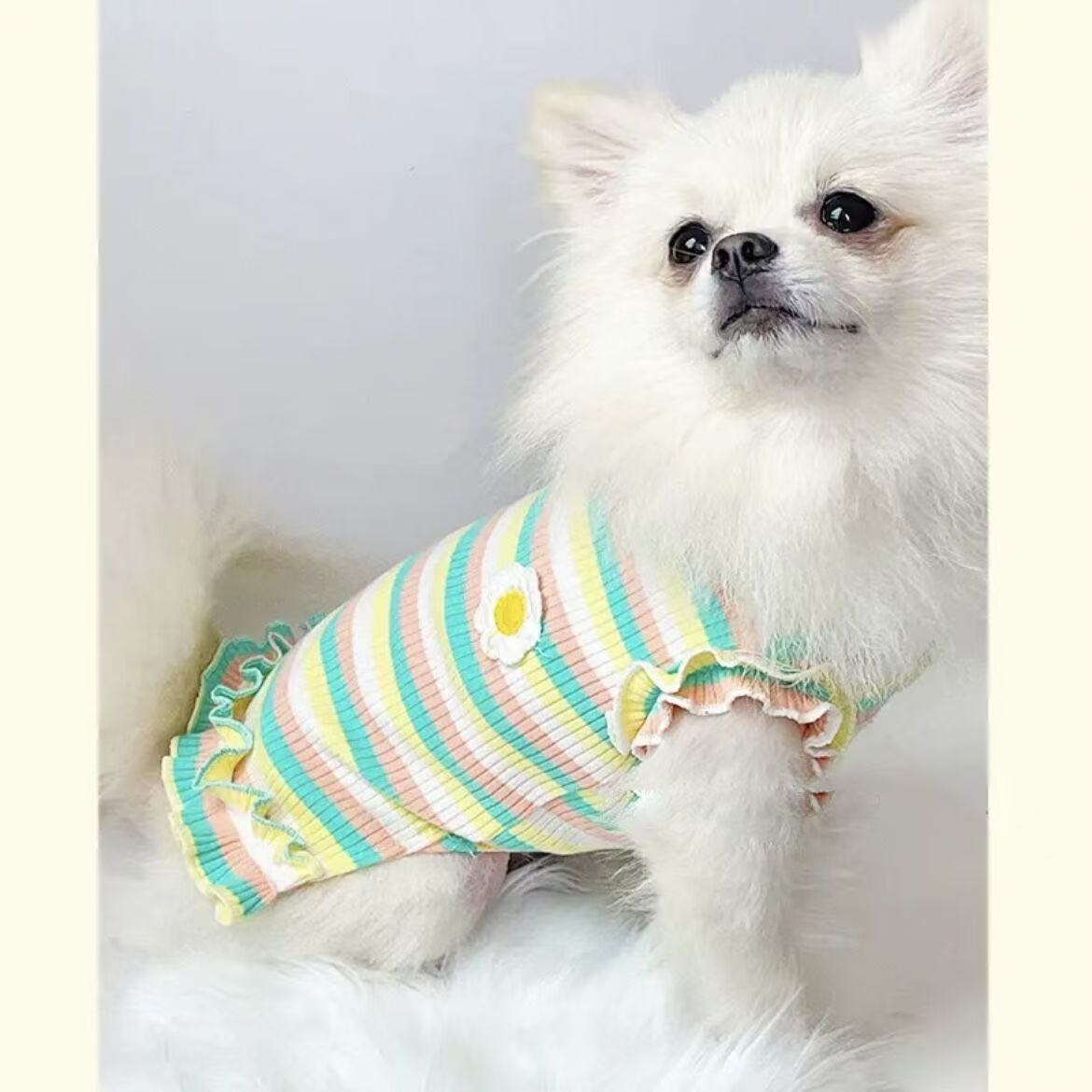 T435Pet clothes spring, summer and autumn thin Korean style flower suspender skirt jacquard embroidery summer sweet dog Bichon Pomeranian
