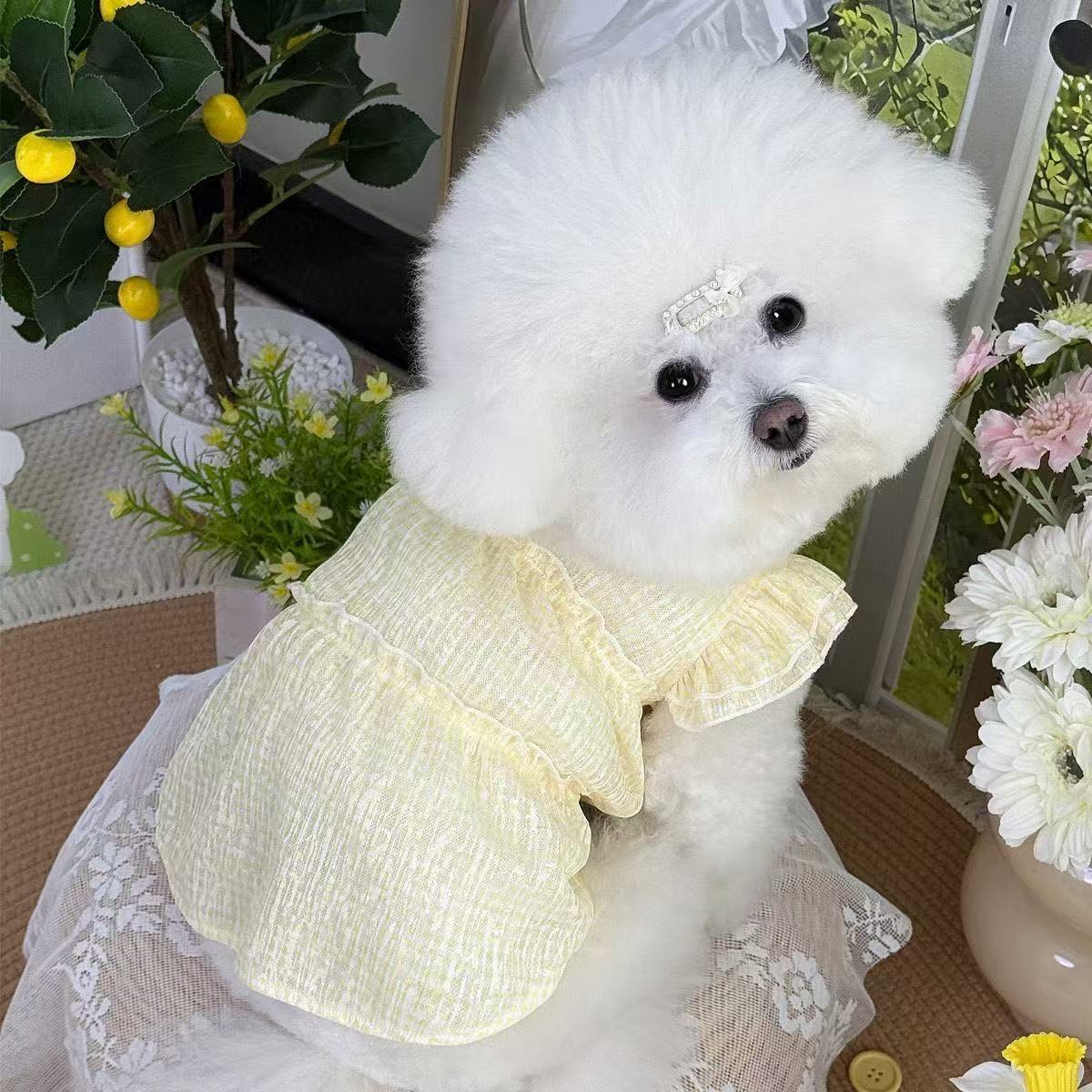 T440Summer colorful and elegant pet clothes new lace breathable puffy skirt dog cat thin dress
