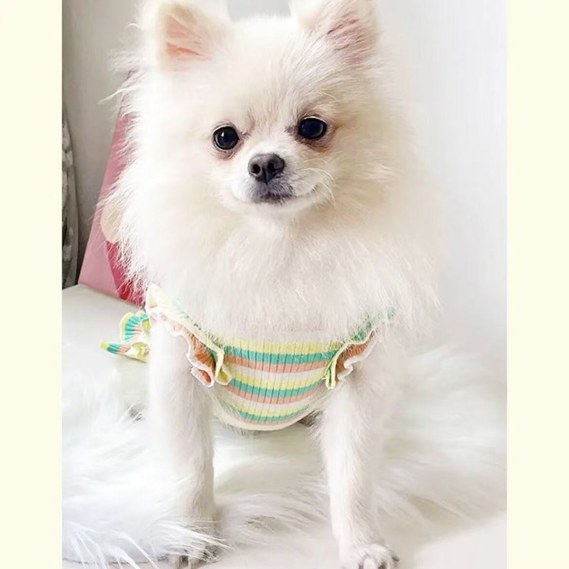 T435Pet clothes spring, summer and autumn thin Korean style flower suspender skirt jacquard embroidery summer sweet dog Bichon Pomeranian