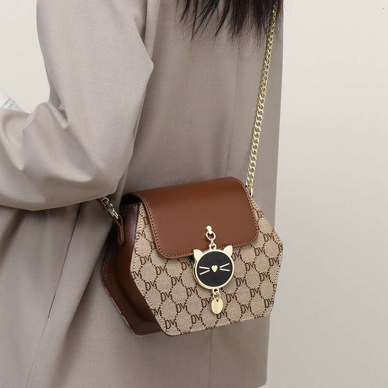 2025 New Women's Crossbody High-end Spring Summer Chain Fashion Light Luxury Small Bag