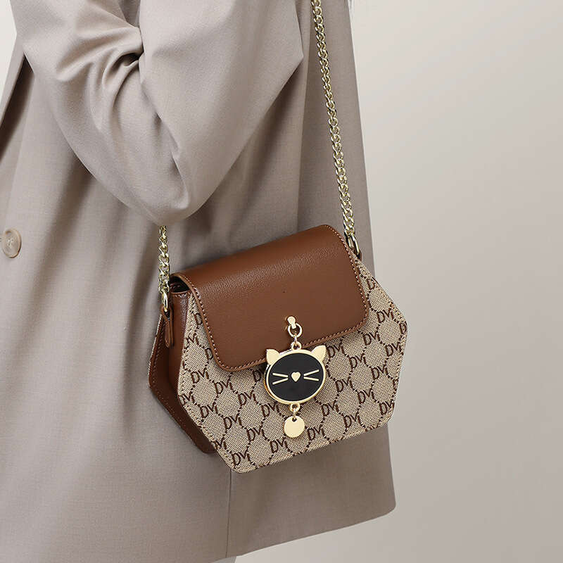 2025 New Women's Crossbody High-end Spring Summer Chain Fashion Light Luxury Small Bag