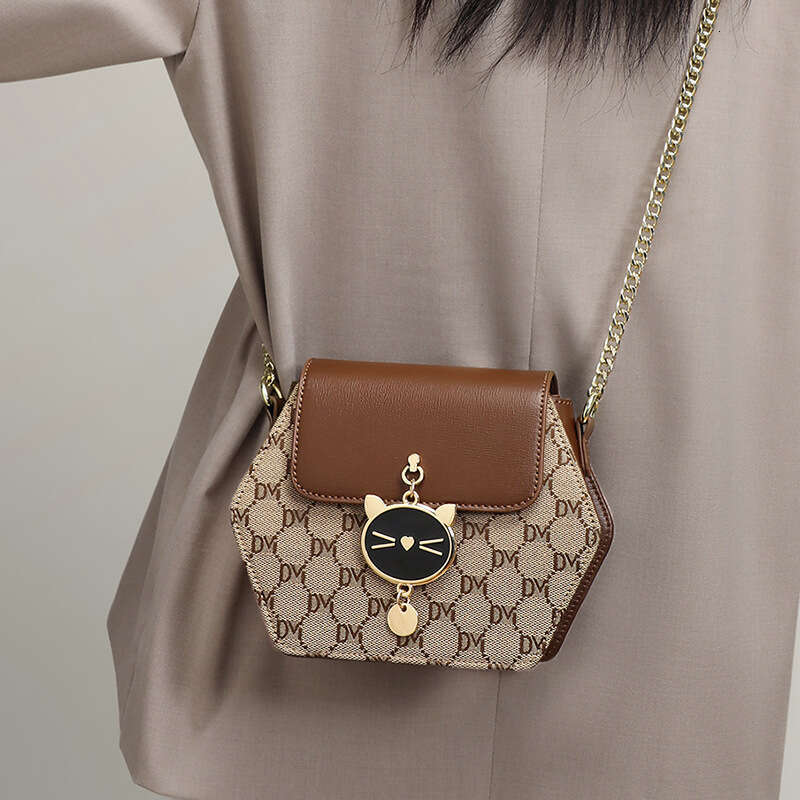 2025 New Women's Crossbody High-end Spring Summer Chain Fashion Light Luxury Small Bag