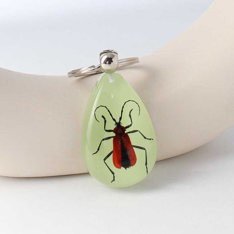 Real Insect Specimen Large Amber Luminous Insect Keychain Pendant Decoration Scenic Spot 250615
