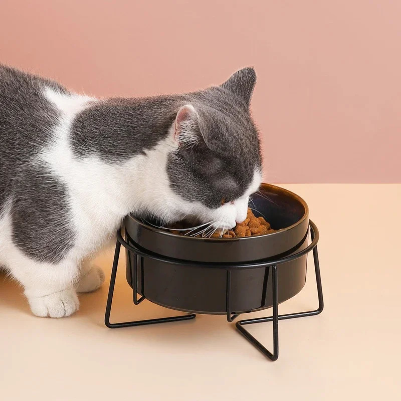 Double Cat Food Bowls with Iron Stand Starry Pet Feeding Bowl Small Puppy Dog Water Eat Accessories Cats Protect Cervical Spine 250612