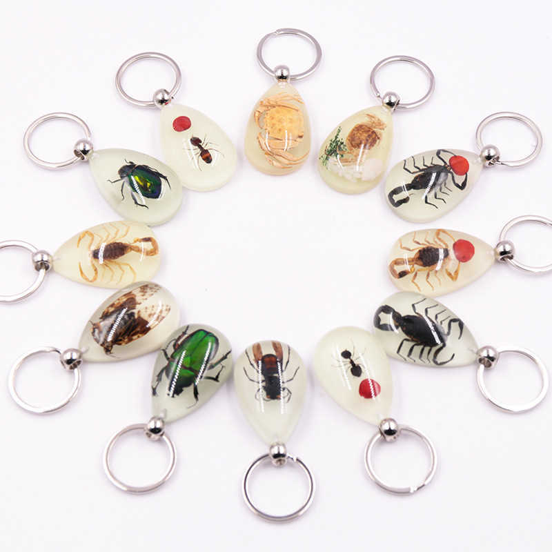 Real Insect Specimen Large Amber Luminous Insect Keychain Pendant Decoration Scenic Spot 250615