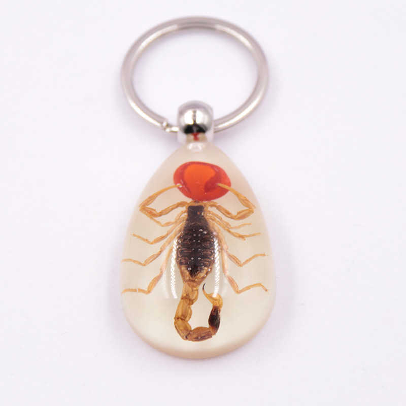 Real Insect Specimen Large Amber Luminous Insect Keychain Pendant Decoration Scenic Spot 250615