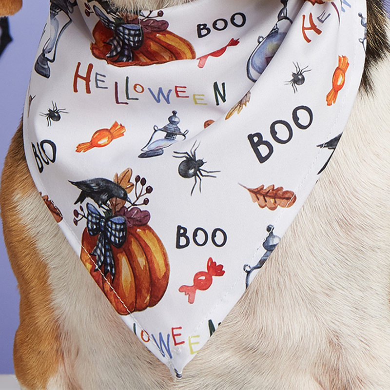 Cute Animal Print Drooling Cloth for Pets - Perfect Halloween Accessory
