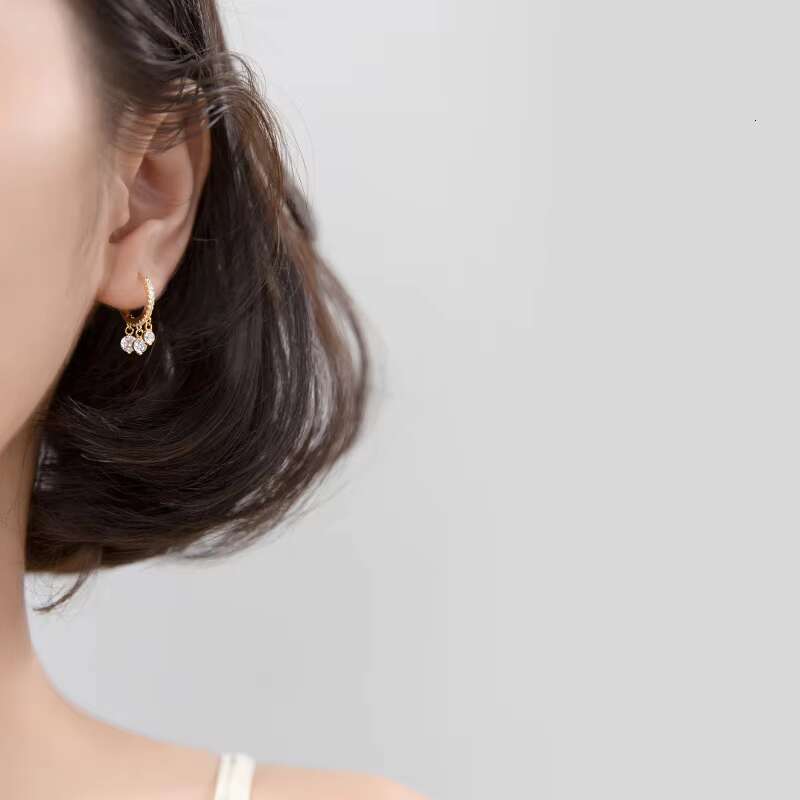 2024 Fine Jewelry Women 925 Sterling Silver Charms Earrings Fashion CZ Diamond Dangle Drop Hoop Earrings Wholesale