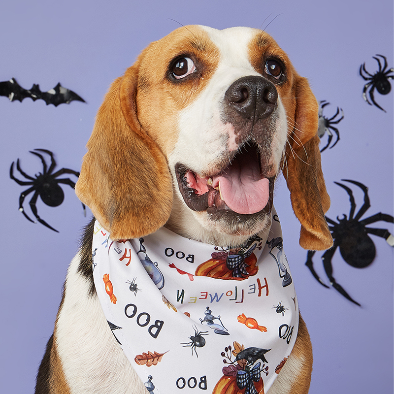 Cute Animal Print Drooling Cloth for Pets - Perfect Halloween Accessory