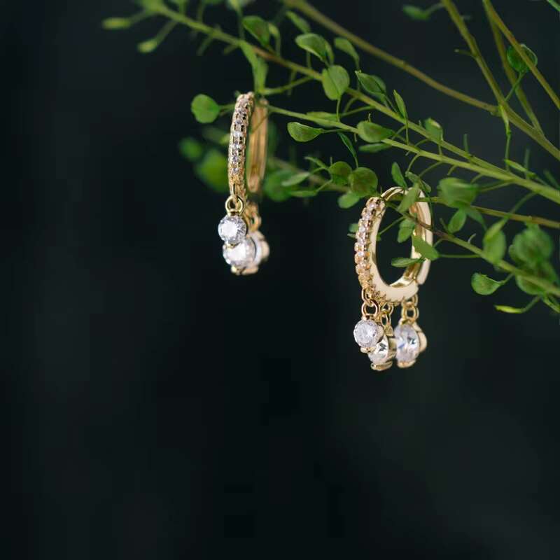 2024 Fine Jewelry Women 925 Sterling Silver Charms Earrings Fashion CZ Diamond Dangle Drop Hoop Earrings Wholesale