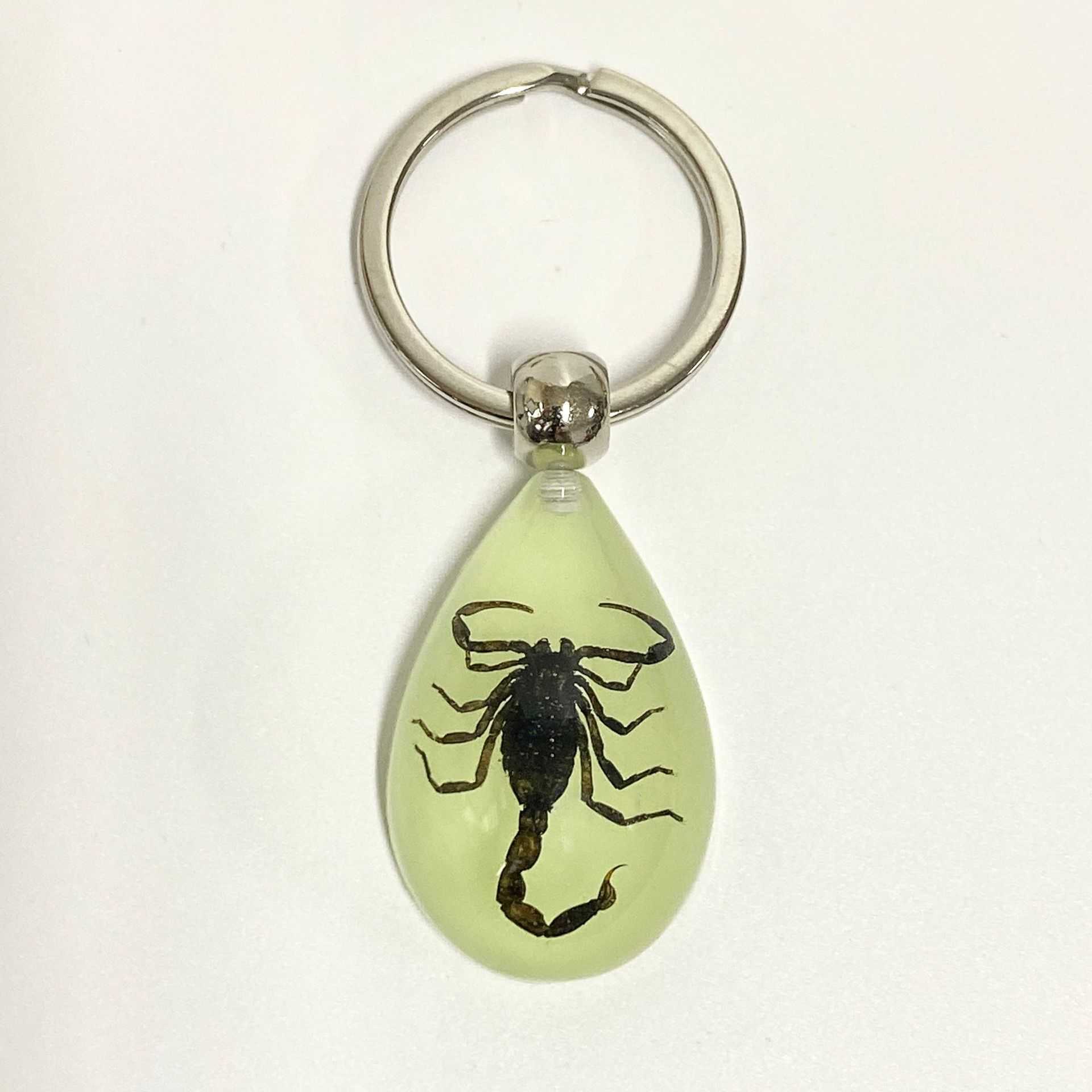 Real Insect Specimen Large Amber Luminous Insect Keychain Pendant Decoration Scenic Spot 250615