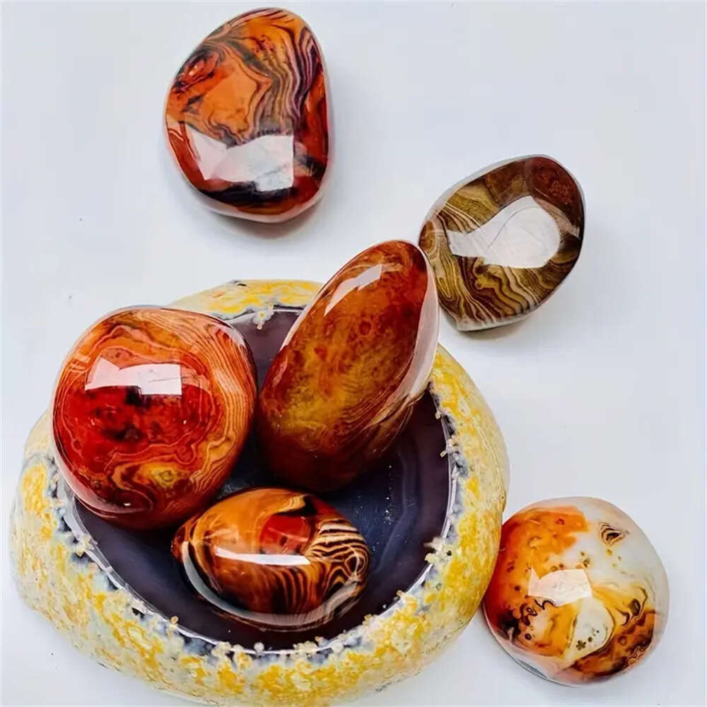 Natural Fossil Necklace Raw Stone Mineral Specimen Unisex Jewelry Pendant Colorful Conch Slice