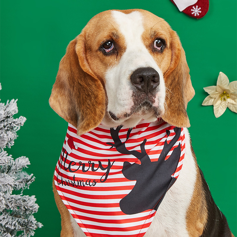 Pet Drool Towel for Eating and Drinking