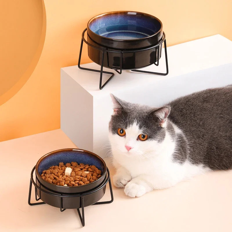 Double Cat Food Bowls with Iron Stand Starry Pet Feeding Bowl Small Puppy Dog Water Eat Accessories Cats Protect Cervical Spine 250612