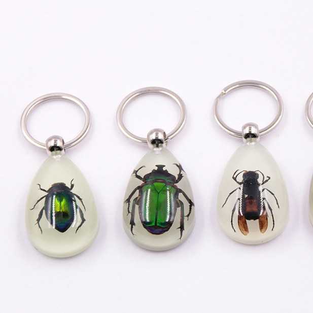 Real Insect Specimen Large Amber Luminous Insect Keychain Pendant Decoration Scenic Spot 250615
