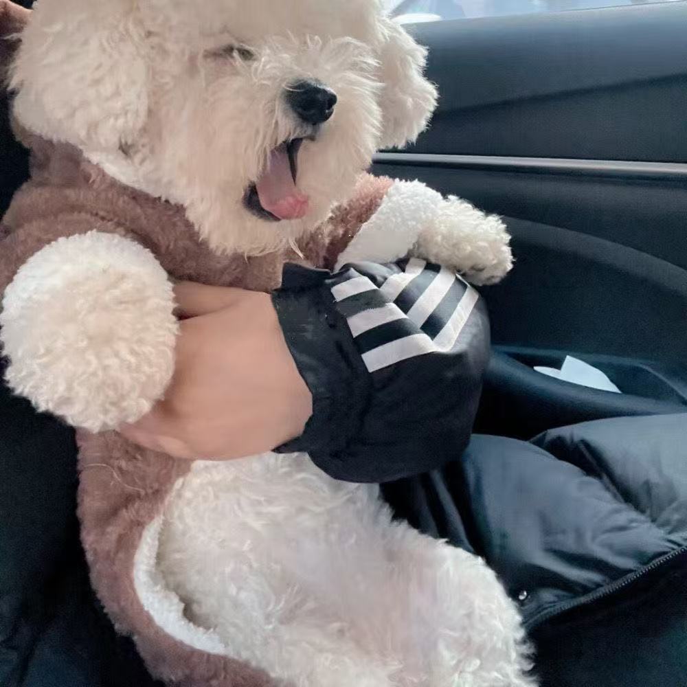 T932 Cozy Thickened Puppy Clothing: Internet Celebrity Inspired Fall/Winter Wear