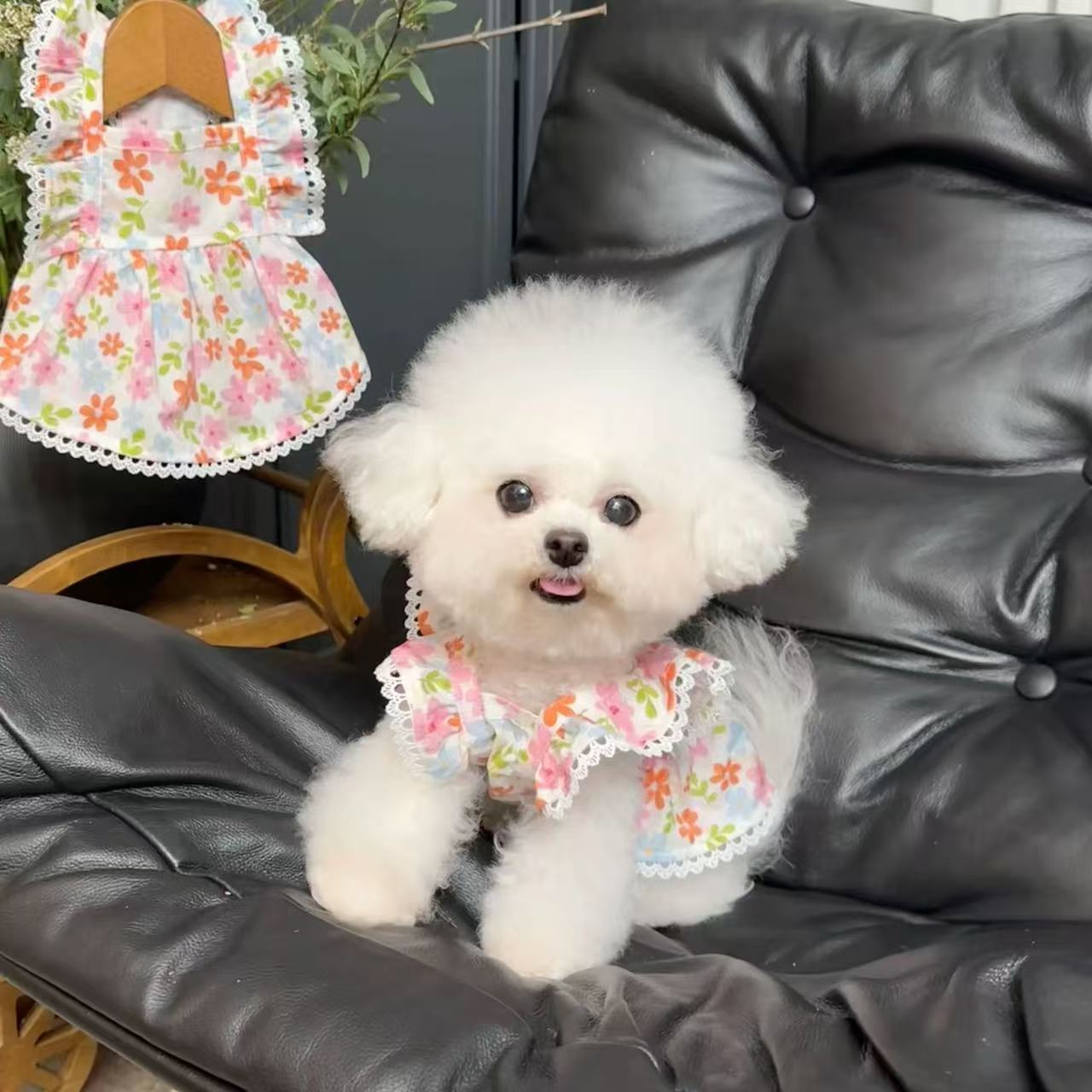 T442Dog clothes pet spring and summer plaid suspenders thin skirt Teddy Bichon Pomeranian small puppy cat cute