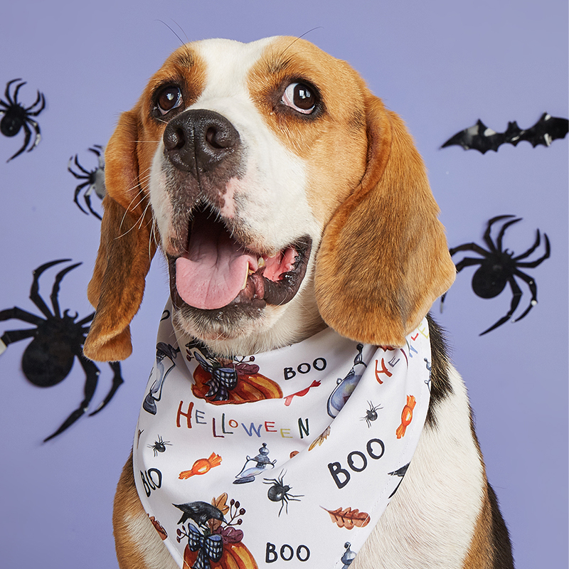 Cute Animal Print Drooling Cloth for Pets - Perfect Halloween Accessory