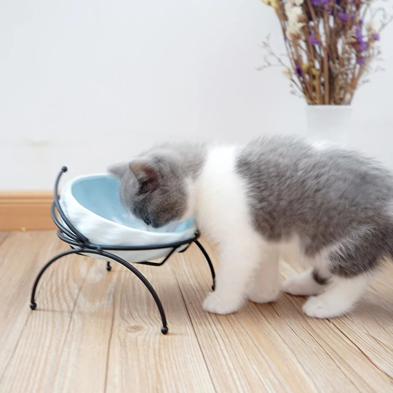 Ceramic Pet Bowl Protect The Spine Table High Foot Large Oblique Cute Cartoon Feeder Dog and Cat Shell Bowl Pet Supplies 250612