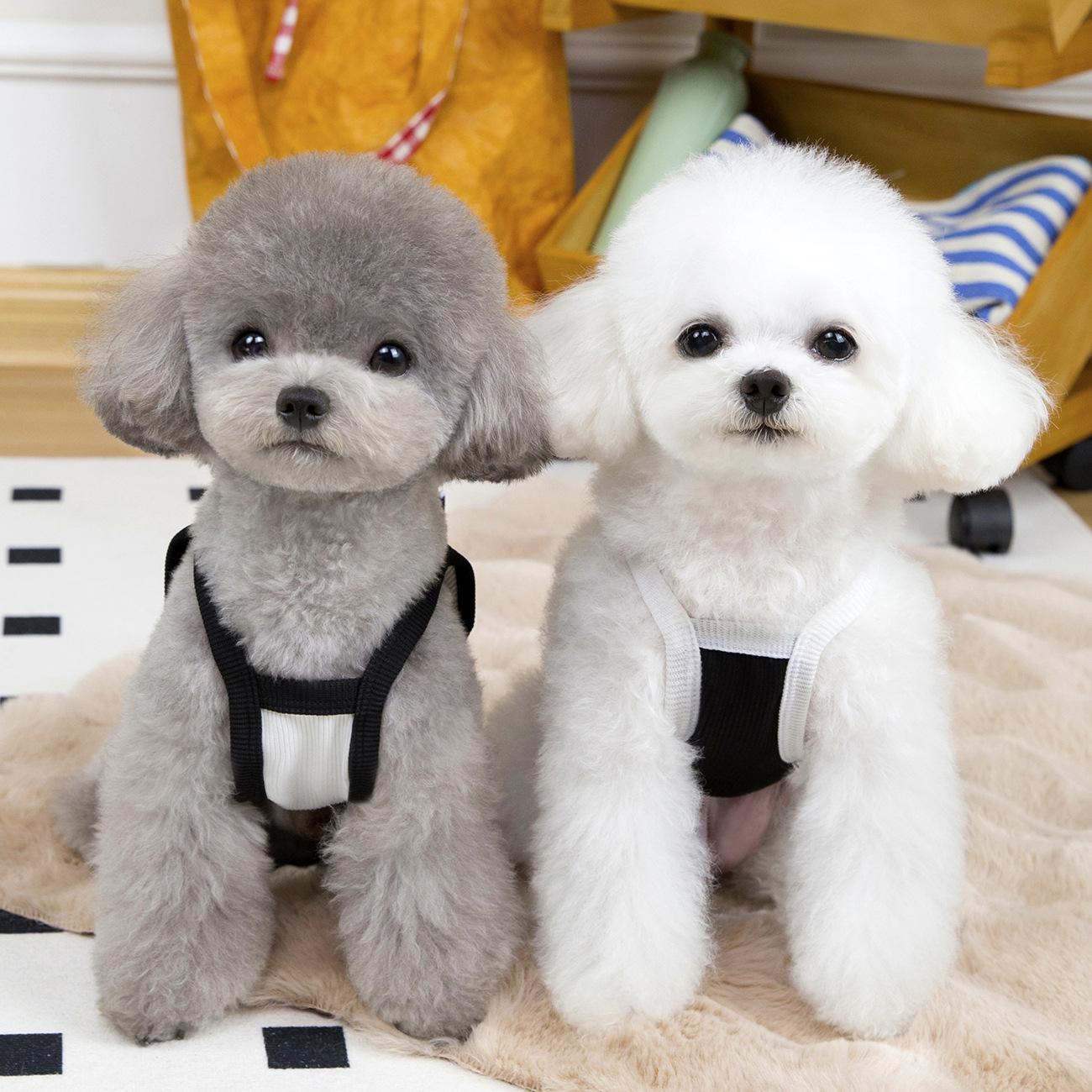 2025 new T Girl, Pet Clothes Fashion Princess Dog Shirt with Exquisite Bow Tie, Sleeveless Breathable Puppy Vest Summer for Small Medium Dog