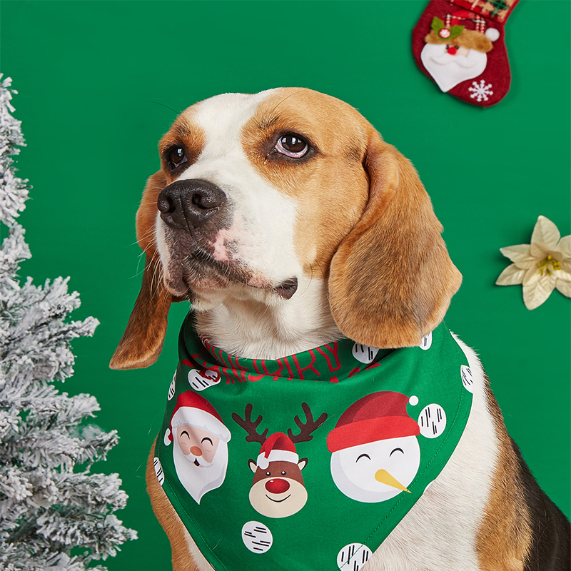 Adorable Creature Motif Dishcloth for Pooches Kittens Drool Towel