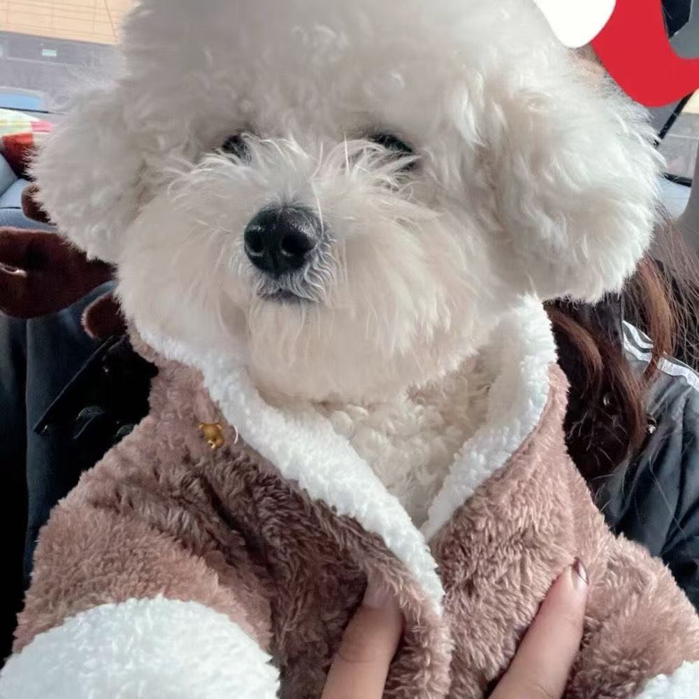 T932 Cozy Thickened Puppy Clothing: Internet Celebrity Inspired Fall/Winter Wear