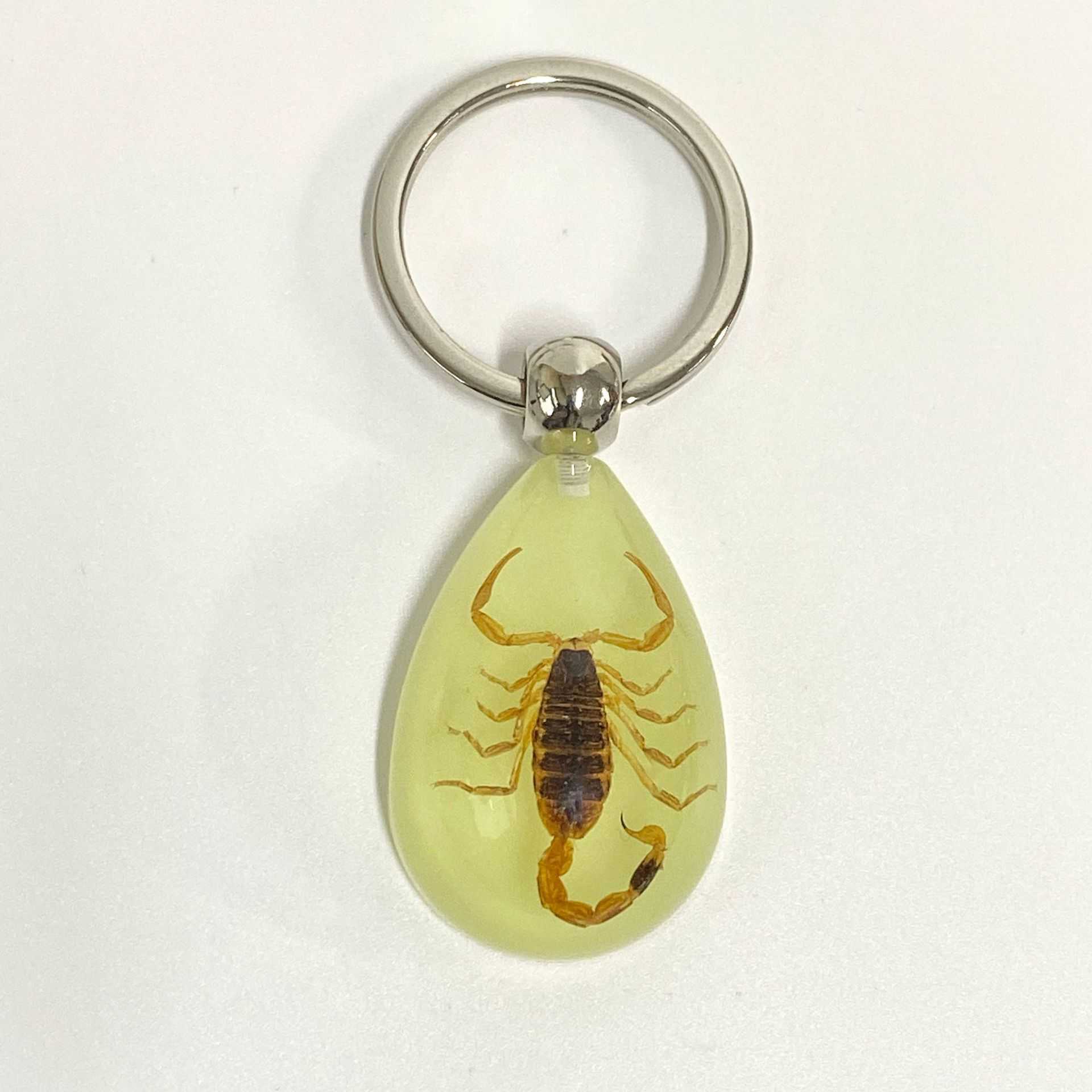 Real Insect Specimen Large Amber Luminous Insect Keychain Pendant Decoration Scenic Spot 250615