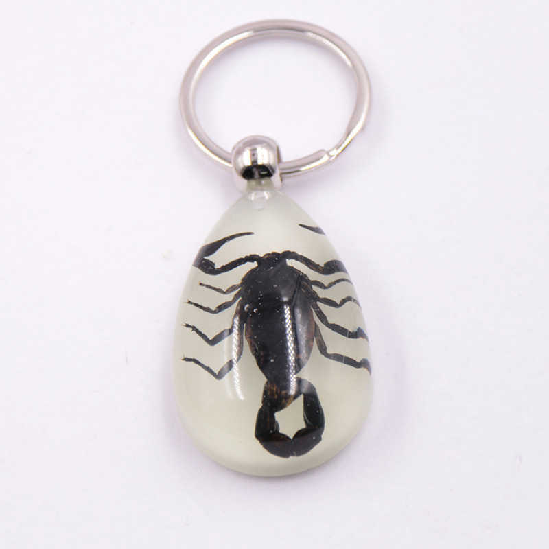 Real Insect Specimen Large Amber Luminous Insect Keychain Pendant Decoration Scenic Spot 250615