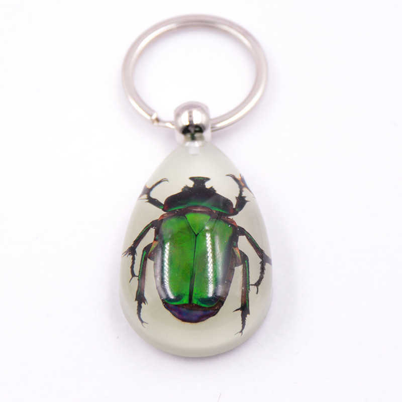 Real Insect Specimen Large Amber Luminous Insect Keychain Pendant Decoration Scenic Spot 250615