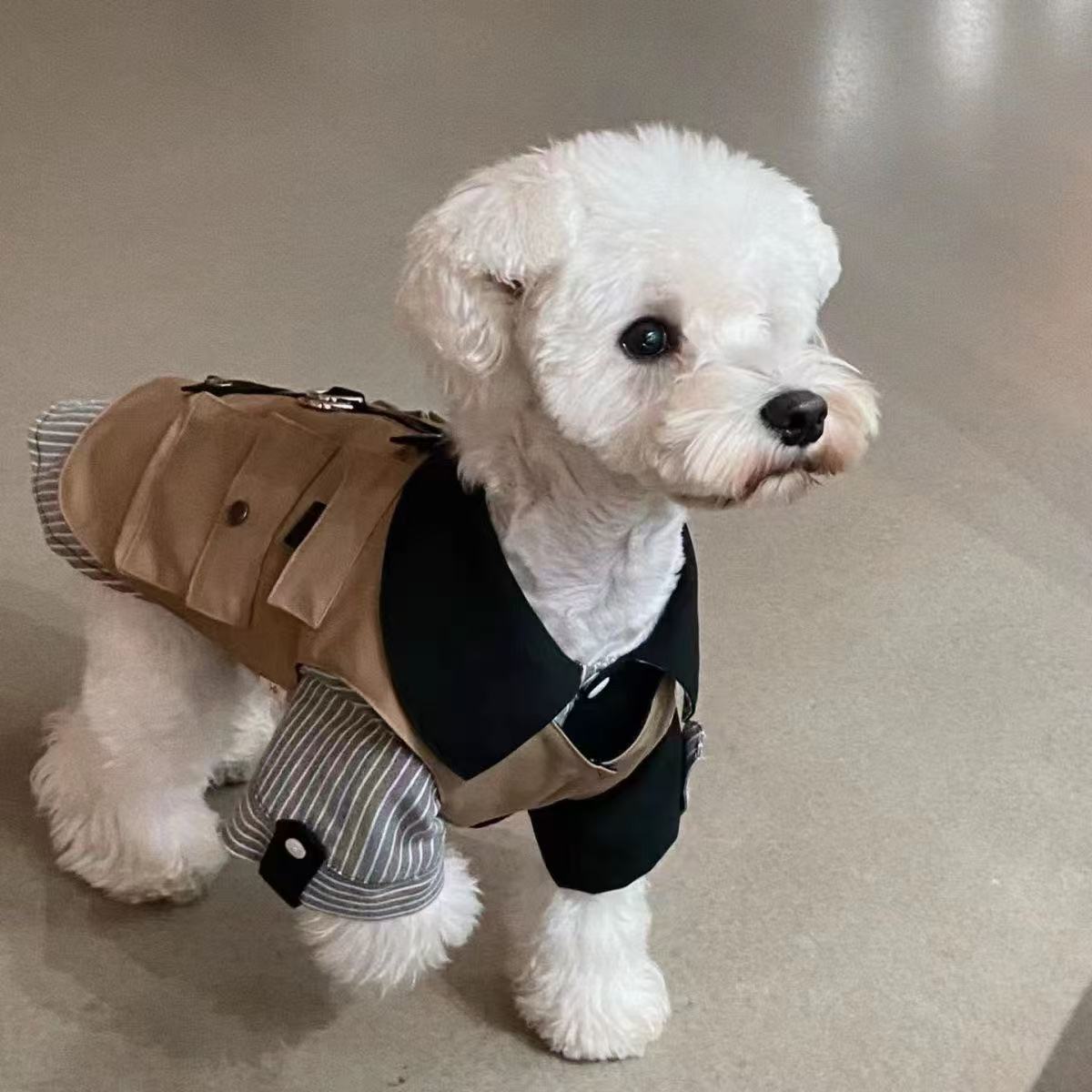 T446Pet clothes Dumbo cat dog spring and summer thin vest Teddy Bichon Maltese cute clothes