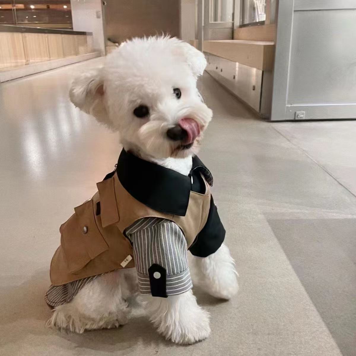 T446Pet clothes Dumbo cat dog spring and summer thin vest Teddy Bichon Maltese cute clothes