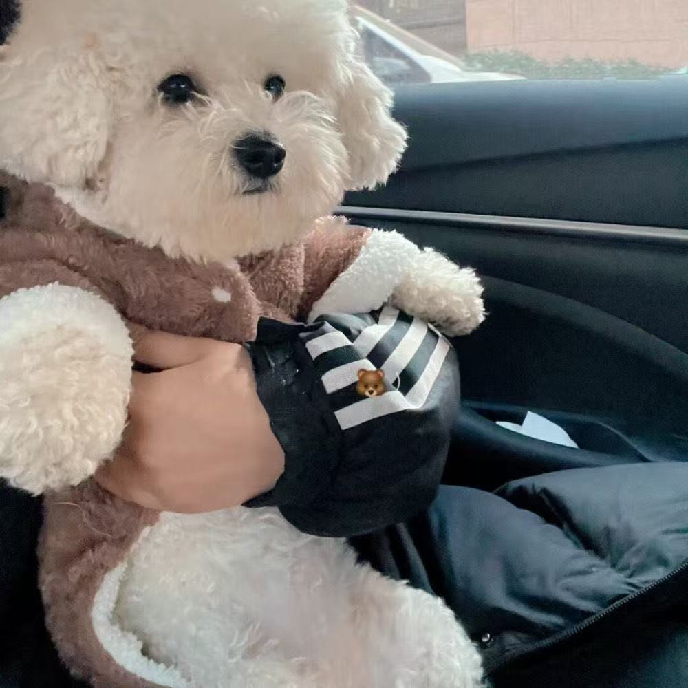 T932 Cozy Thickened Puppy Clothing: Internet Celebrity Inspired Fall/Winter Wear