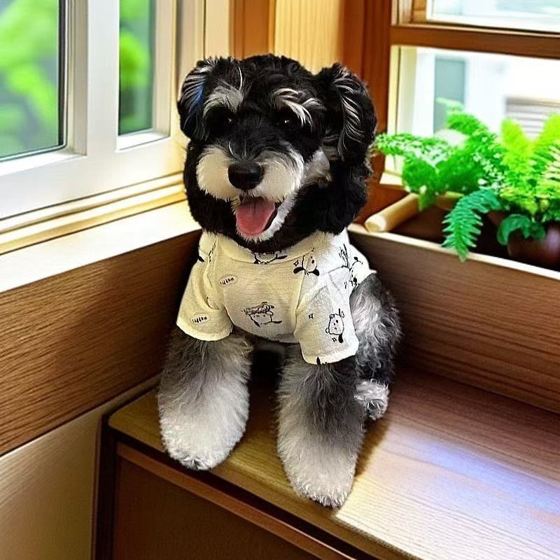 T454Lightweight, breathable and cool in summer, air-conditioning clothing to prevent cold wind from air conditioning and mosquitoes, handsome pet clot