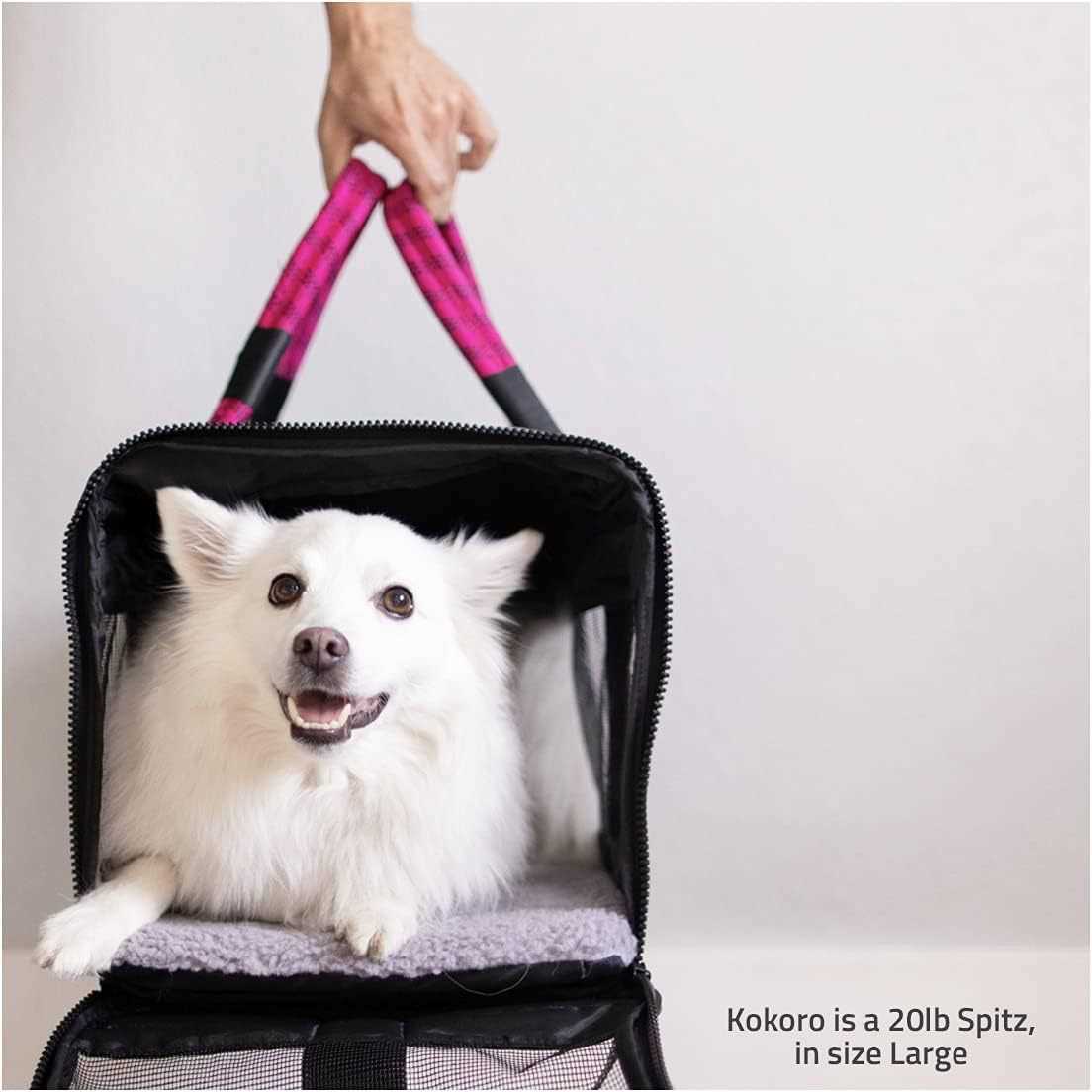 Pet Carrier Bag fashion Cat Pet Bag Outdoor Travel Pet Carrier Bag Portable Carrier Bag 250615