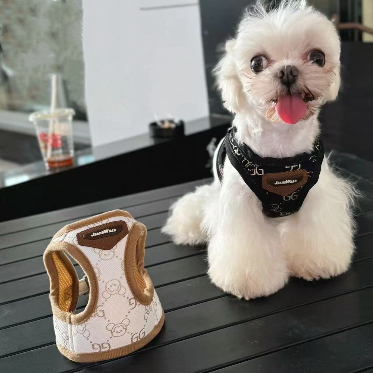 Harness with Leash Set, Escape No Pull Easy Walk Puppy Harnesses, Step-in Hot Stamping Pattern Soft Pets Vest for Medium Small Dog M B139