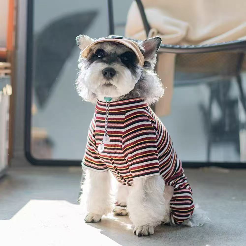 T453Handsome pet clothes summer style comfortable breathable hairless German Korean style sin style cute air-conditioned clothes cat clothes