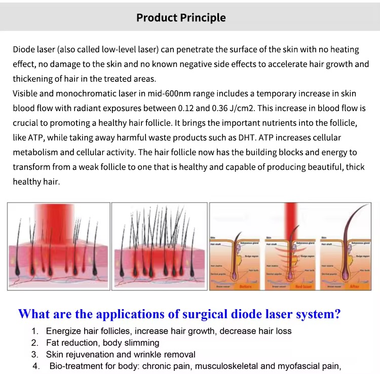 650nm Growth Laser Diode Hair Growth Machine Laser Regrowth High Frequency Electrotherapy Ozone Comb Hair Loss Treatment