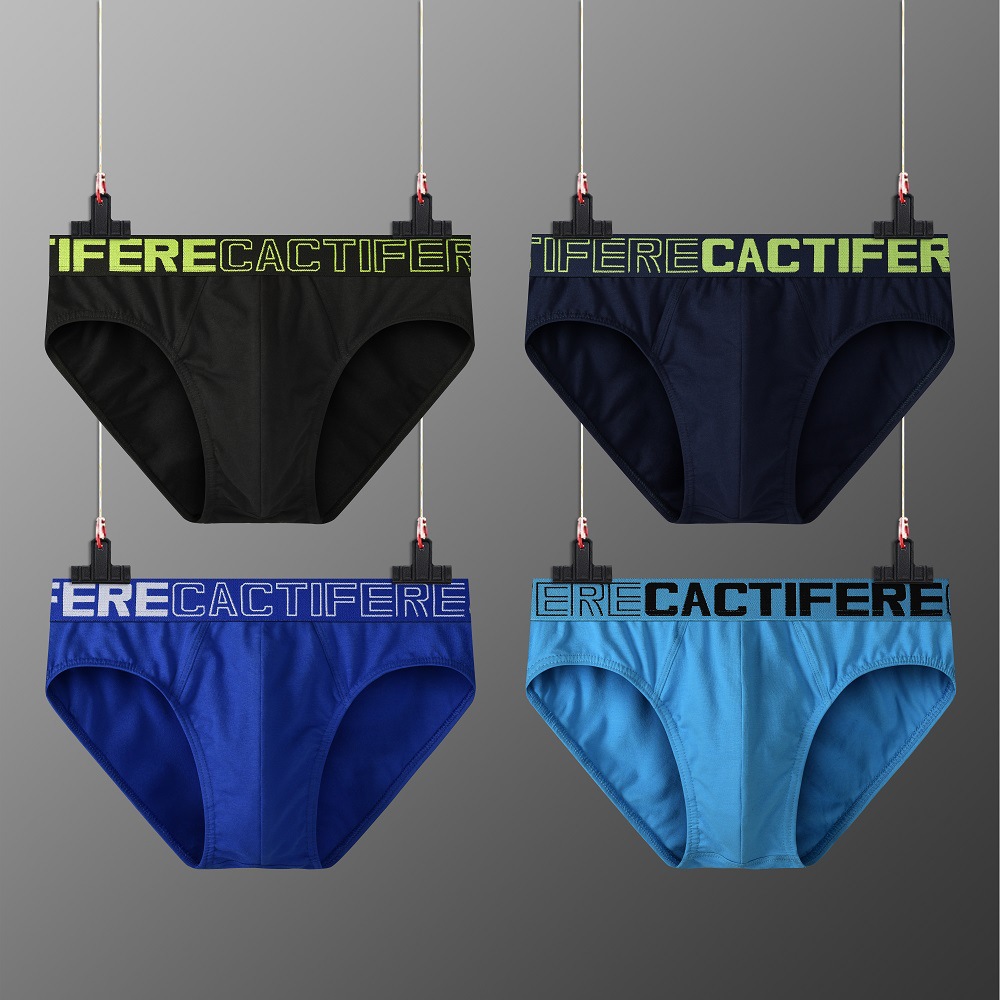 4PC High Quality Men's Modal Mid-Rise Briefs - Summer Lightweight Breathable Underwear Free Shipping